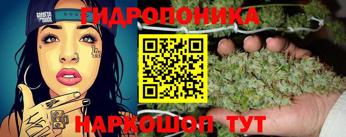 Анжеро-Судженск  Марихуана план  Бошки марихуана MAZAR  Вход с VPN  Конопля сатива 